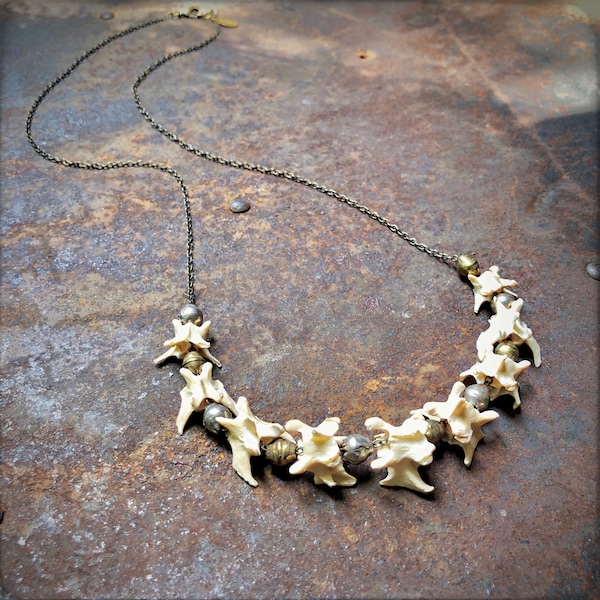 Jewelry Bone, Vertebrae Necklace, Witchy Necklace, Shaman Necklace, Real Bones, Pagan, Necklace Wild, Necklace Earthy, Exotic Necklace