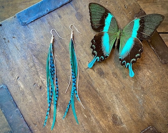 Turquoise and Teal Green Feather Earrings, Aqua Blue Boho Earrings, Tropical Vacation Earrings, Resort Style, Romantic Feather Earrings