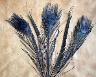 Five (5) Black Peacock Feathers, (3) Eye Feathers and (2) Sword Feathers, Dyed Feathers for Gothic Costume, Millinery, Jewelry-Making, Decor