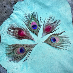 Five (5) Stem-Dyed Peacock Eye Feathers, Hot Pink, Natural Peacock, for Crafting, Costumes, Jewelry, Headpiece, Fascinator, Floral Decor