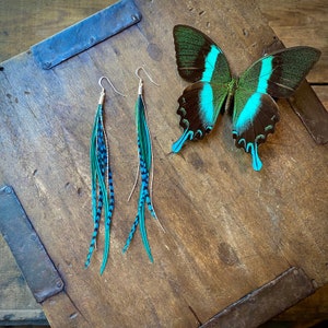 Turquoise and Teal Green Feather Earrings, Aqua Blue Boho Earrings, Tropical Vacation Earrings, Resort Style, Romantic Feather Earrings