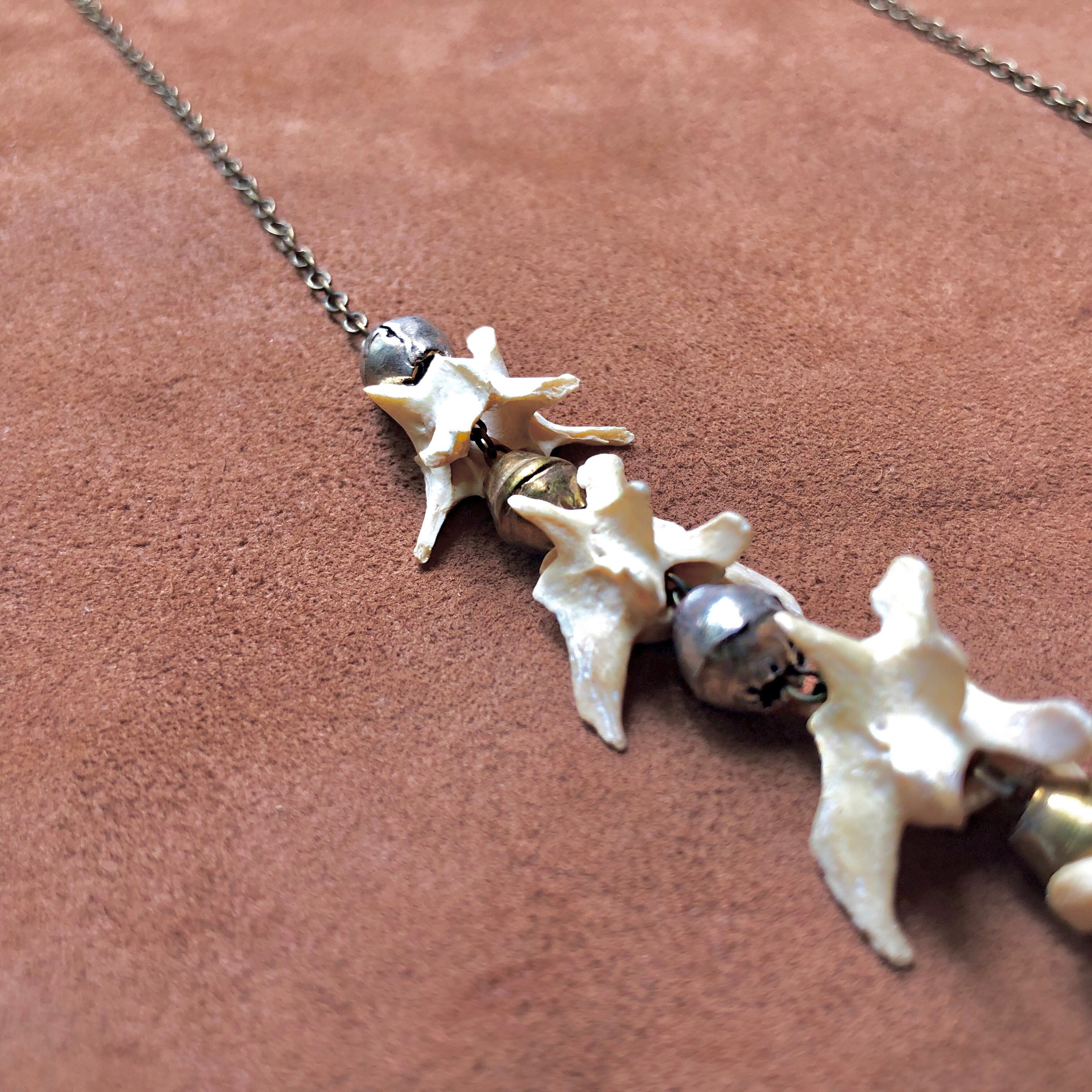 Jewelry Bone, Vertebrae Necklace, Witchy Necklace, Shaman Necklace