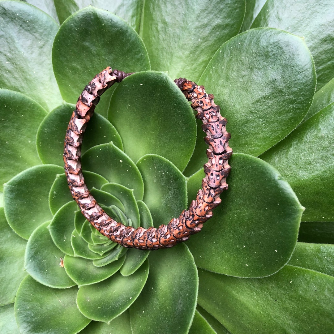 Snake Bracelet, Bone Bracelet, Snake Vertebrae, Real Bones, Bracelet