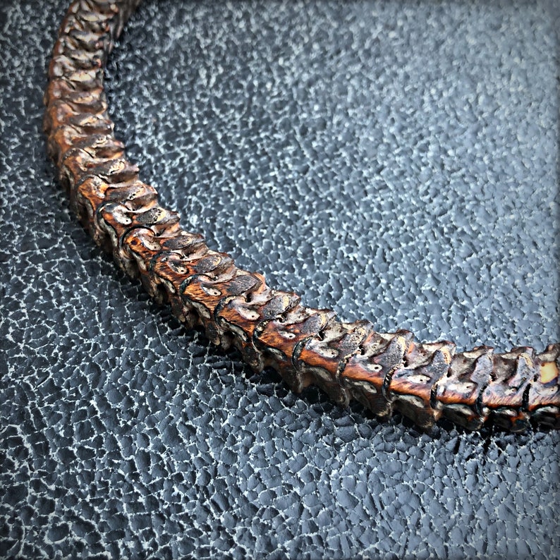 Snake Vertebrae Necklace Etsy