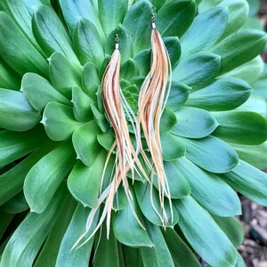 May include: A pair of long, feather earrings with a mix of beige, brown, and white feathers. The earrings are hanging from a green succulent plant.