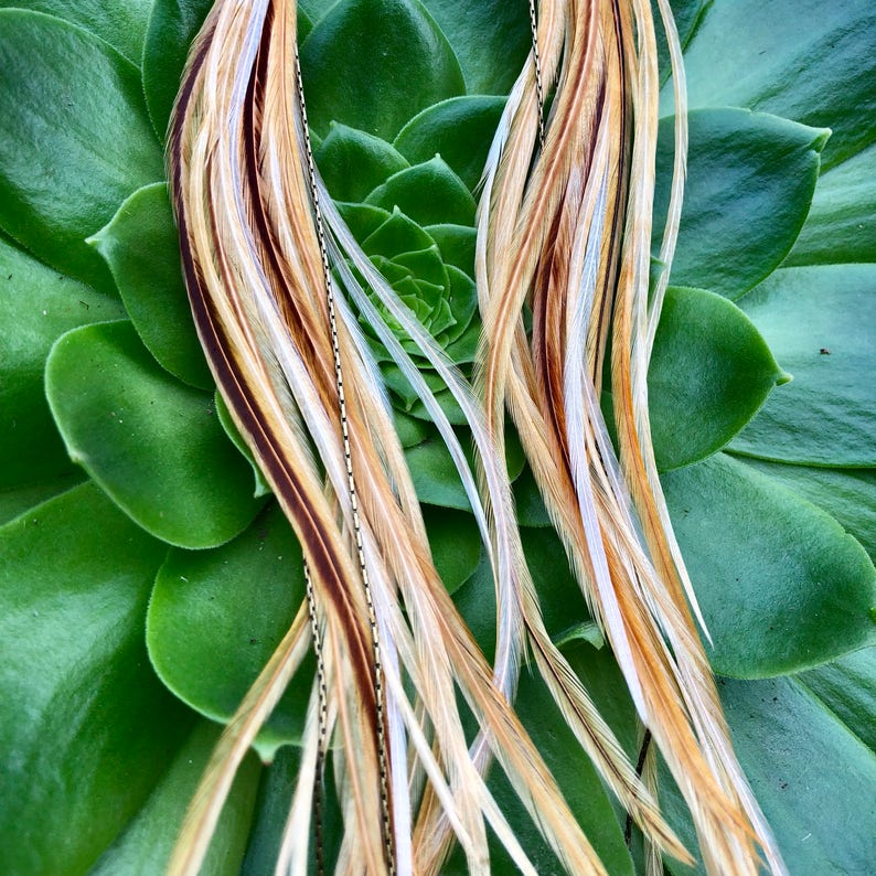 May include: A pair of long, brown and white feathers with a gold chain attached. The feathers are arranged in a fan shape and are lying on a green succulent plant.