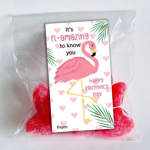 Flamingo Valentine Tag – Kids Valentine cards - It&#39;s Fl-amazing to know you – Valentine Favor Tag – Classroom valentine gift