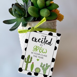 Geschenkanhänger für Lehrer - Zurück zu Schulgeschenkanhänger - Druckbare Tags - Sukkulente Geschenke - Ich freue mich darauf, dieses Jahr in Ihrer Klasse zu wachsen