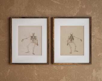 Vintage Anatomy Drawings / Skeleton Wall Art / PRINTABLE / DIGITAL DOWNLOAD / #014