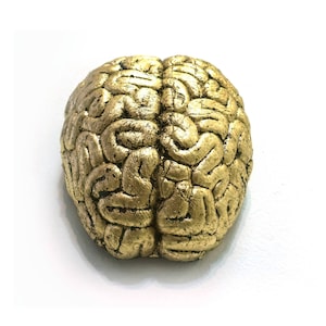 Puede incluir: Una escultura de cerebro pintada de oro. La escultura está detallada con pliegues y surcos realistas, que se asemejan a un cerebro humano.