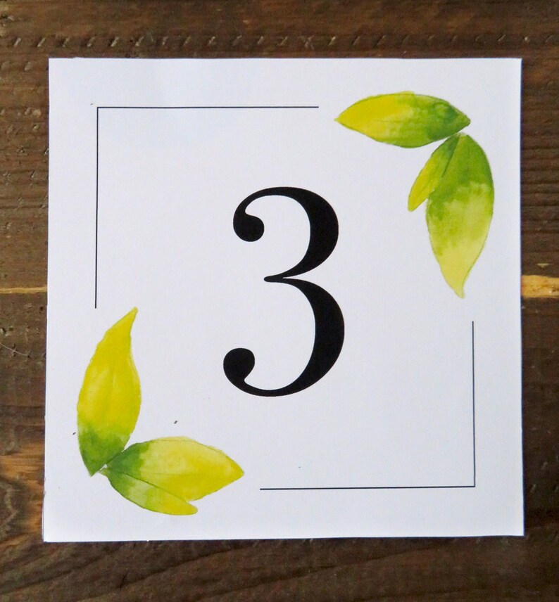Programs Name cards Thank You/'s Wedding Extension Set and Table Number/'s