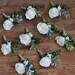 Wedding boutonniere for men Groom boutonniere prom Flower boutonniere eucalyptus winter boutonniere greenery boutonniere buttonhole flower