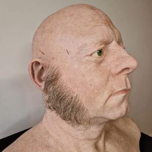 LI350. High quality sideburns for media and performance.