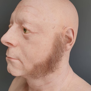 High quality sideburns for media and performance. LI274