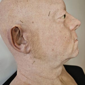 LI348. High quality sideburns for media and performance.