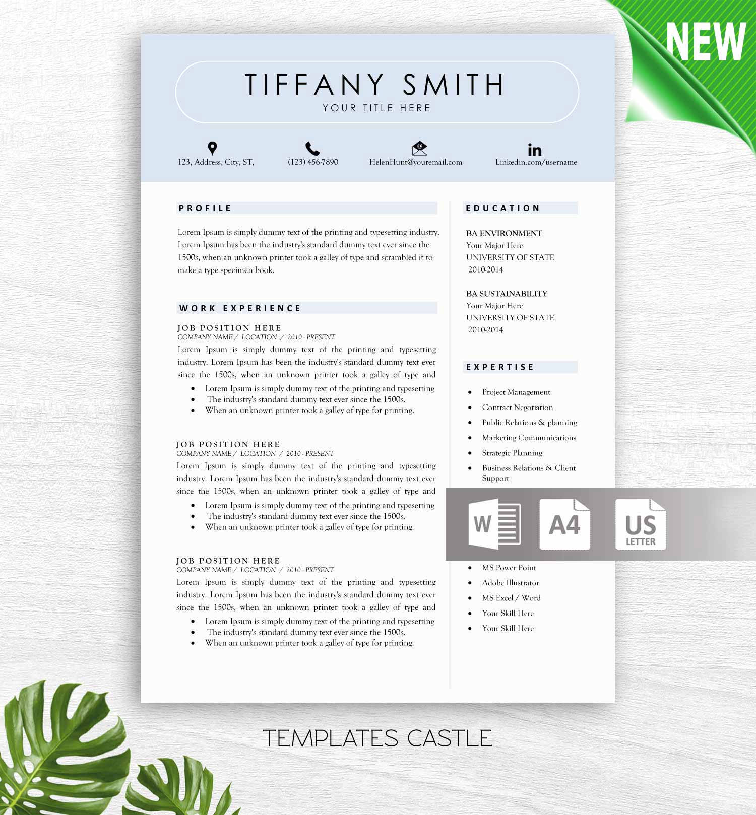 Modern Resume Template Word Modern Cv Design Templates Instant Download Resume Professional Teacher Resume Nurse Instant Cv Design Txc25