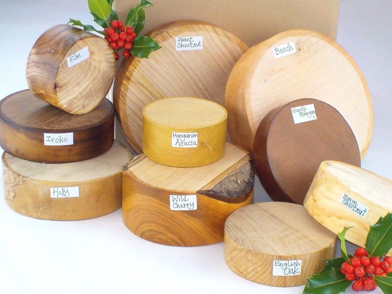 Ten different hardwood, circular bowl blanks, each one labeled with its species for identification. The diameters vary from 4 inches to 8 inches and the thicknesses range from 1 1/4 inches to 3 inches.