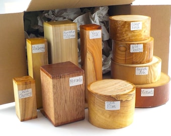 Woodturning Blanks Selection Box. 10 Bowl & Spindle Blanks, Mixed Species and Sizes