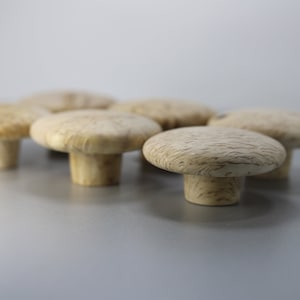 May include: Seven mushroom-shaped wooden knobs. The knobs are light tan with a textured cap and a smooth, cylindrical stem. They are arranged in a semi-circular pattern. Ideal for furniture or craft projects.