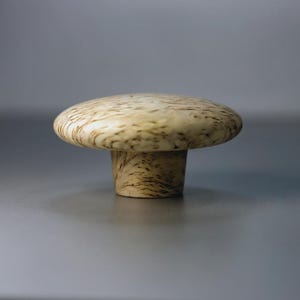 May include: A mushroom-shaped cabinet knob with a light beige and brown marbled pattern. The knob has a rounded top and a cylindrical base. The background is a solid grey.