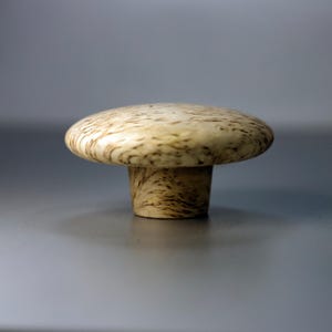 Peut inclure: Un bouton de meuble en forme de champignon fabriqué en bois clair, présentant un motif de grain brun foncé tourbillonnant distinct sur tout son dessus arrondi et lisse ainsi que sur sa base cylindrique, offrant un aspect naturel.