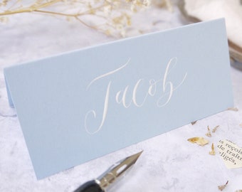 Baby Blue Place Cards in Calligraphy, Wedding Name Cards for Tables, Handwritten Pastel Place Setting Cards