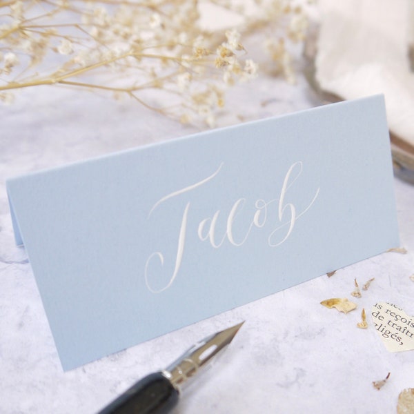 Baby Blue Place Cards in Calligraphy, Wedding Name Cards for Tables, Handwritten Pastel Place Setting Cards