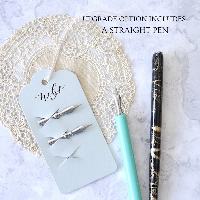 Zebra G Nibs for Beginners Modern Calligraphy Nibs Writing Etsy UK