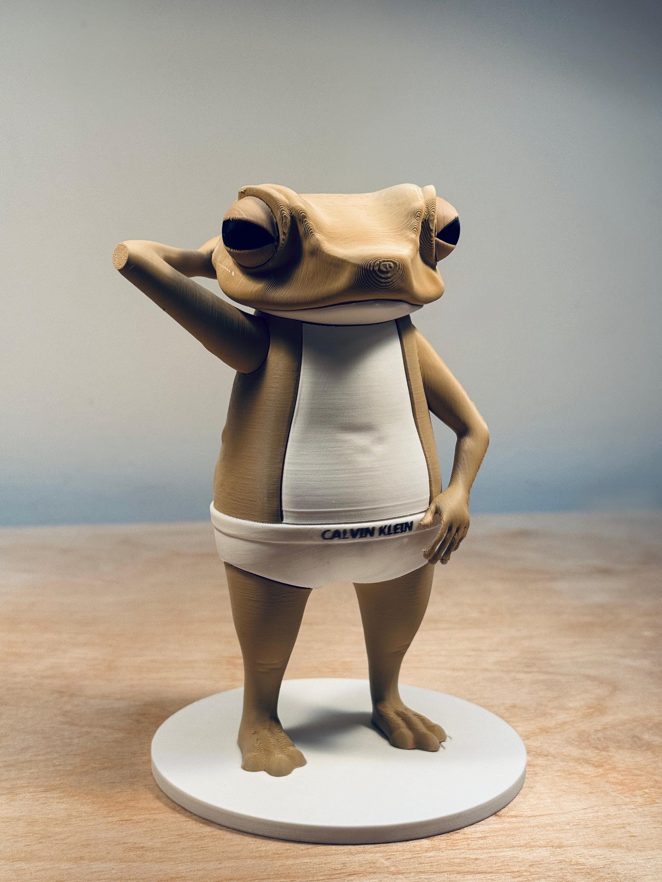 DTMF Calvin K. Concho | Calvin Kli Underwear | Inspired by Puerto Rico Frog | Boricua Gift | 3D Printed Collectible