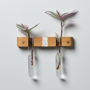 Ein an der Wand hängender Pflanzkübel und Gewächshaus aus Holz mit Reagenzgläsern aus Glas für Stecklinge, Hydrokulturpflanzen oder einfache Dekoration. Weihnachtsgeschenk.