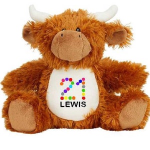 Personalised 21st Birthday Highland Cow, Happy Birthday Teddy Bear, 21st Birthday Gift, Personalised 21st girl, Personalised 21st Boy, Bull