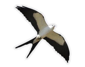 Swallow Tailed Kite Sticker