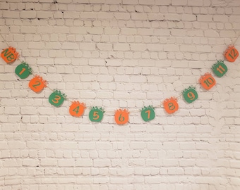 Little Pumpkin First Birthday Photo Banner. Pumpkin Milestone Banner. Our Little Pumpkin Birthday Decorations.