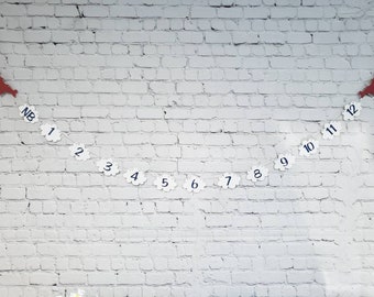 Time Flies Airplane Milestone Photo Banner. Plane Party Decorations. Airplane Birthday Banner. Time Flies Banner. Time Flies Birthday Theme.