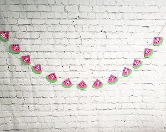 Watermelon Milestone Banner. Watermelon First Birthday. One in A Melon Photo Banner. Watermelon Decorations. One in A Melon Party Decor.