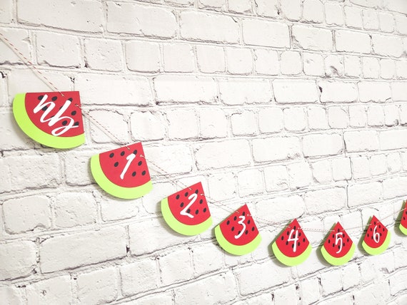 Watermelon Milestone Banner. Watermelon First Birthday. One in A Melon Photo Banner. Watermelon Decorations. One in A Melon Party Decor. Il_570xn