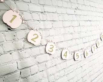 Pink and Gold Pumpkin First Birthday Photo Milestone Banner
