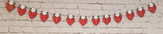 Strawberry Milestone Photo Banner. Sweet One Milestone Banner. Newborn-12 Months. Strawberry Party Decorations. Strawberry Milestones. Il_570xn