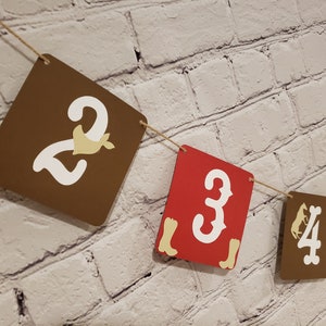 My First Rodeo Birthday. My First Rodeo Milestone Photo Banner. Cowboy Birthday Banner. Western 1st Birthday. Cowboy Banner. Cowgirl Banner