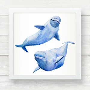 Beluga Whale stack Whale print Watercolor print Poster Wall decor painting. Sea art. Watercolor clipart Nautical decor White Whale image 9