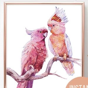 Watercolor Cockatoo Parrot clipart printable poster. Tropical Illustration Australian nature print. Bird illustration, bird poster, bird watercolor, classic watercolor, classical painting macaw tropical, Mother's Day, parrot painting