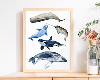 Watercolor Whale. Orca Sperm Whale stack Humpback Whale Narwhal Whale Killer Whale print Marine Life watercolor clipart painting