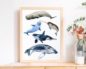 Watercolor Whale. Orca Sperm Whale stack Humpback Whale Narwhal Whale Killer Whale print Marine Life watercolor clipart painting