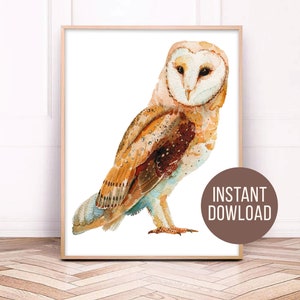 Barn Owl svg Boho clipart Watercolor Print Barn Owl painting Rustic kitchen poster Owl nursery decor poster image 1