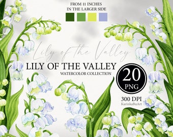 Watercolor lily of the valley clipart set. Hand painted spring white floral clipart. Separate elements for invitations, scrapbooking