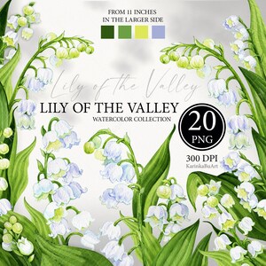 Watercolor lily of the valley clipart set. Hand painted spring white floral clipart. Separate elements for invitations, Spring scrapbooking