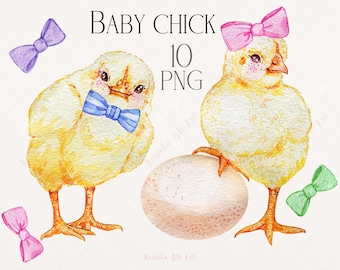 Scrapbooking Watercolor clipart. Farm birds clipart Watercolor PNG Easter chick clipart Digital paper Baby chick. Wall Decor Chicken png