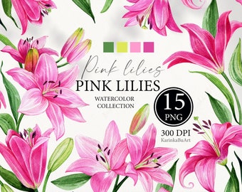 Watercolor Lilies Clipart Lilies blossom PNG for Sublimation Flower Bouquets Lily Floral Clipart Commercial Use wedding invitations