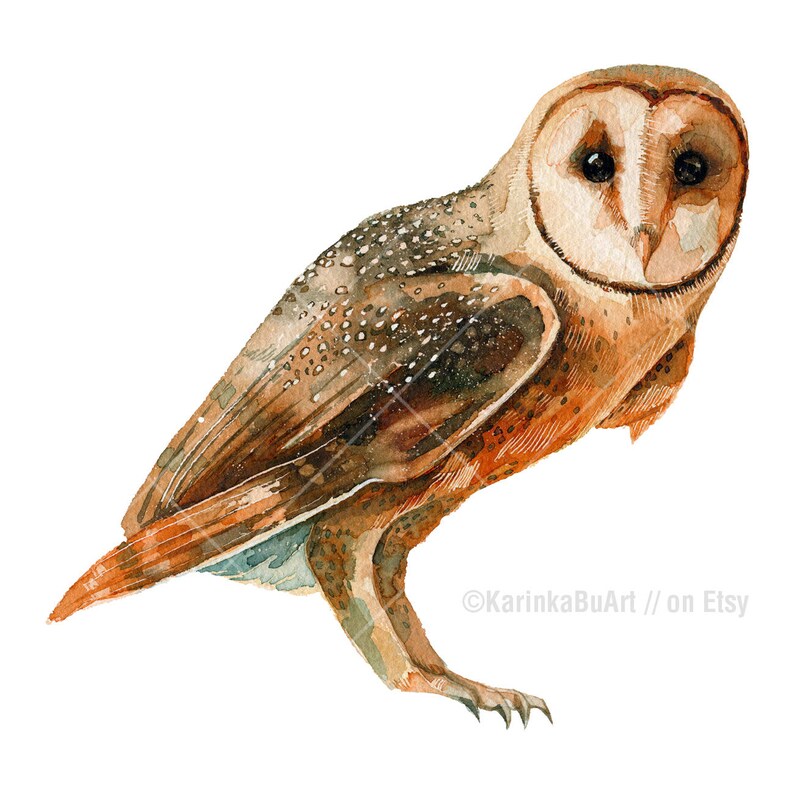 Barn Owl Print Woodlands Owl Watercolor Woodland Nursery Decor Etsy