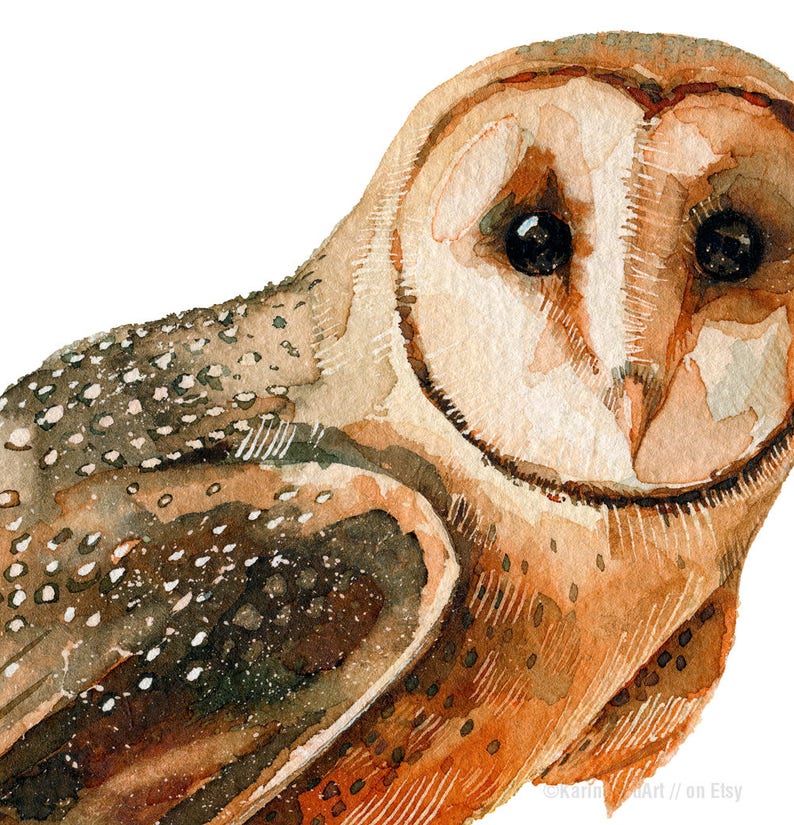 Barn Owl Print Woodlands Owl Watercolor Woodland Nursery Decor Etsy